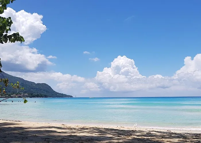 Alpha & Omega Seychelles * בו ואלון